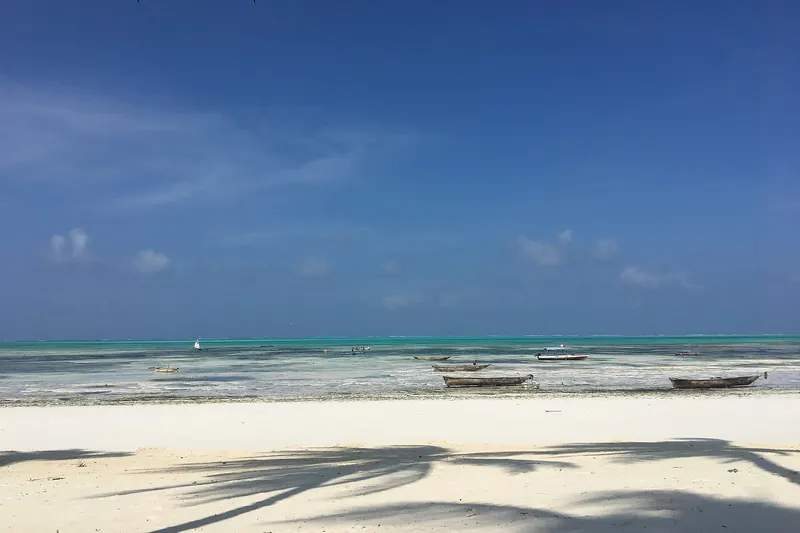 The beach at Jambiani