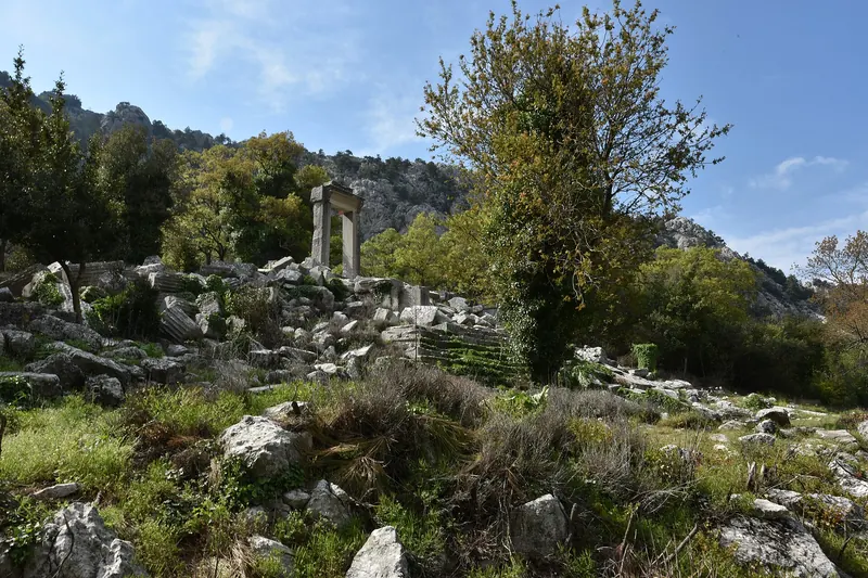 Ruins scattered through pine forest at Termessos