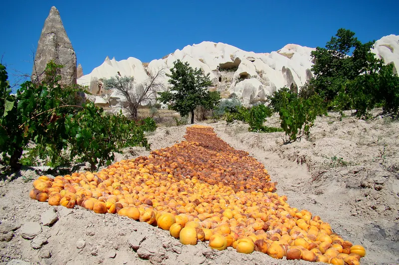 Apricots laid out to dry in Cappadocia