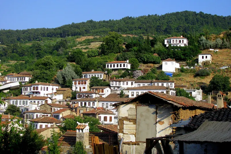 The hillside village of Şirince above its olive groves