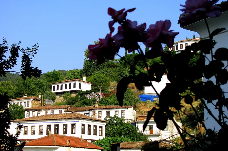 Stone houses on the slopes of Şirince