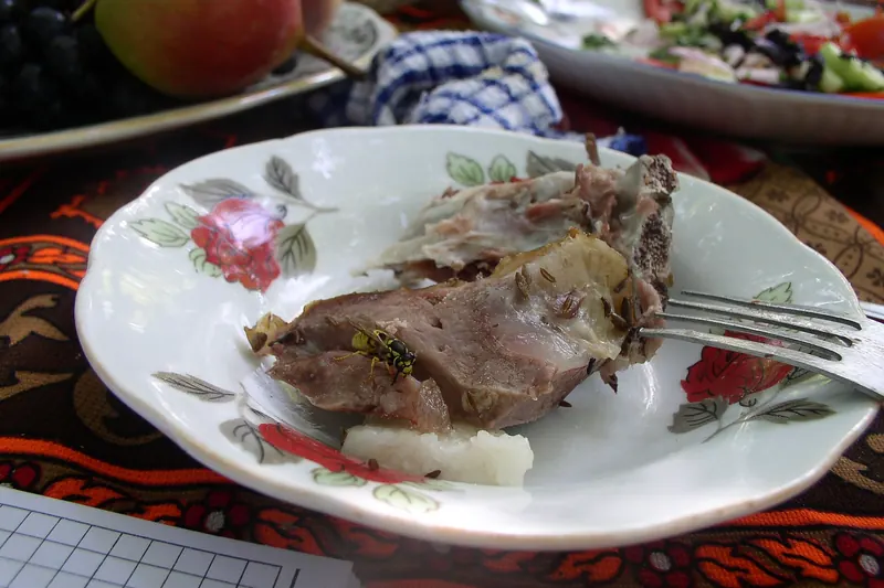 Meat slow-cooked in a clay tandır oven