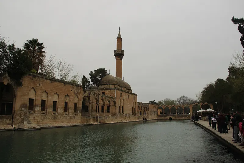 The sacred carp pools at Balıklıgöl