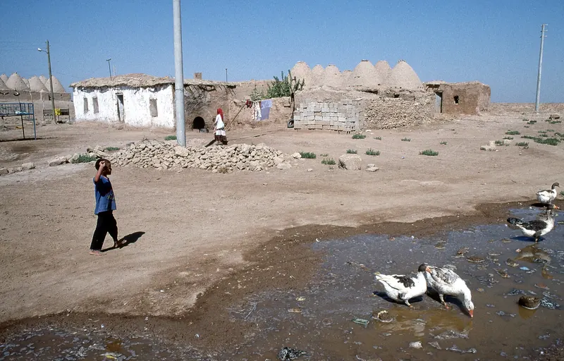 The mud-brick beehive houses of Harran