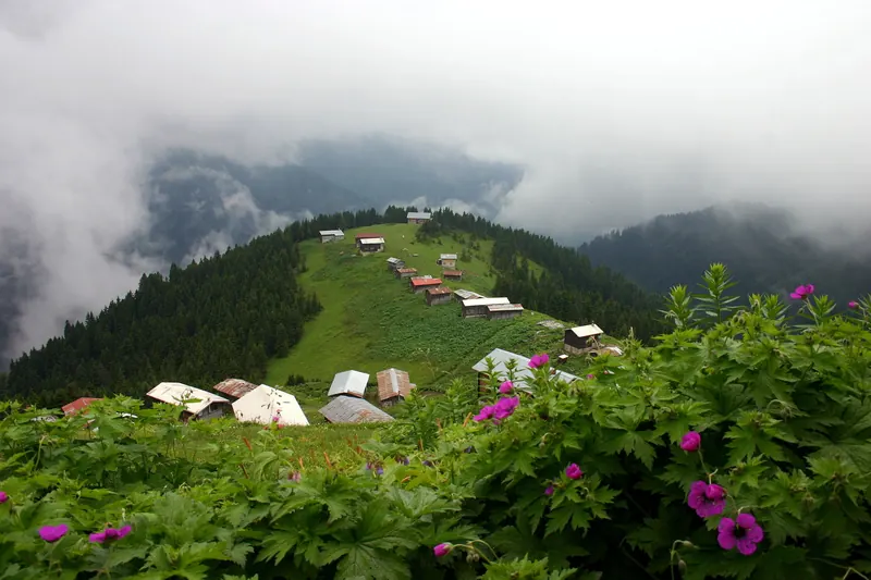 Wooden houses on the Pokut yayla above the cloud