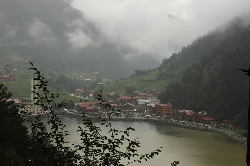 Tea-covered slopes in the hills south of Trabzon
