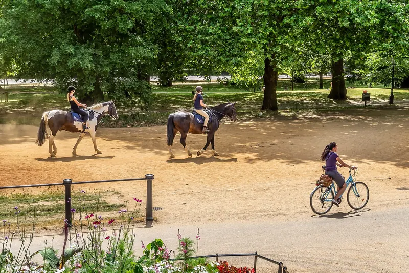 Horse riders on a path through Hyde Park