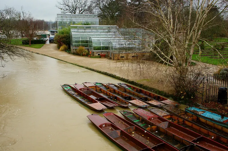 Punts on the River Cherwell in Oxford