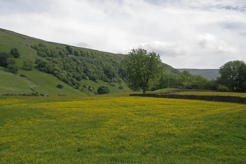 Rolling green hills and drystone walls in the Yorkshire Dales