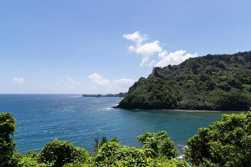 The winding coastal road on Maui above black volcanic cliffs and green rainforest