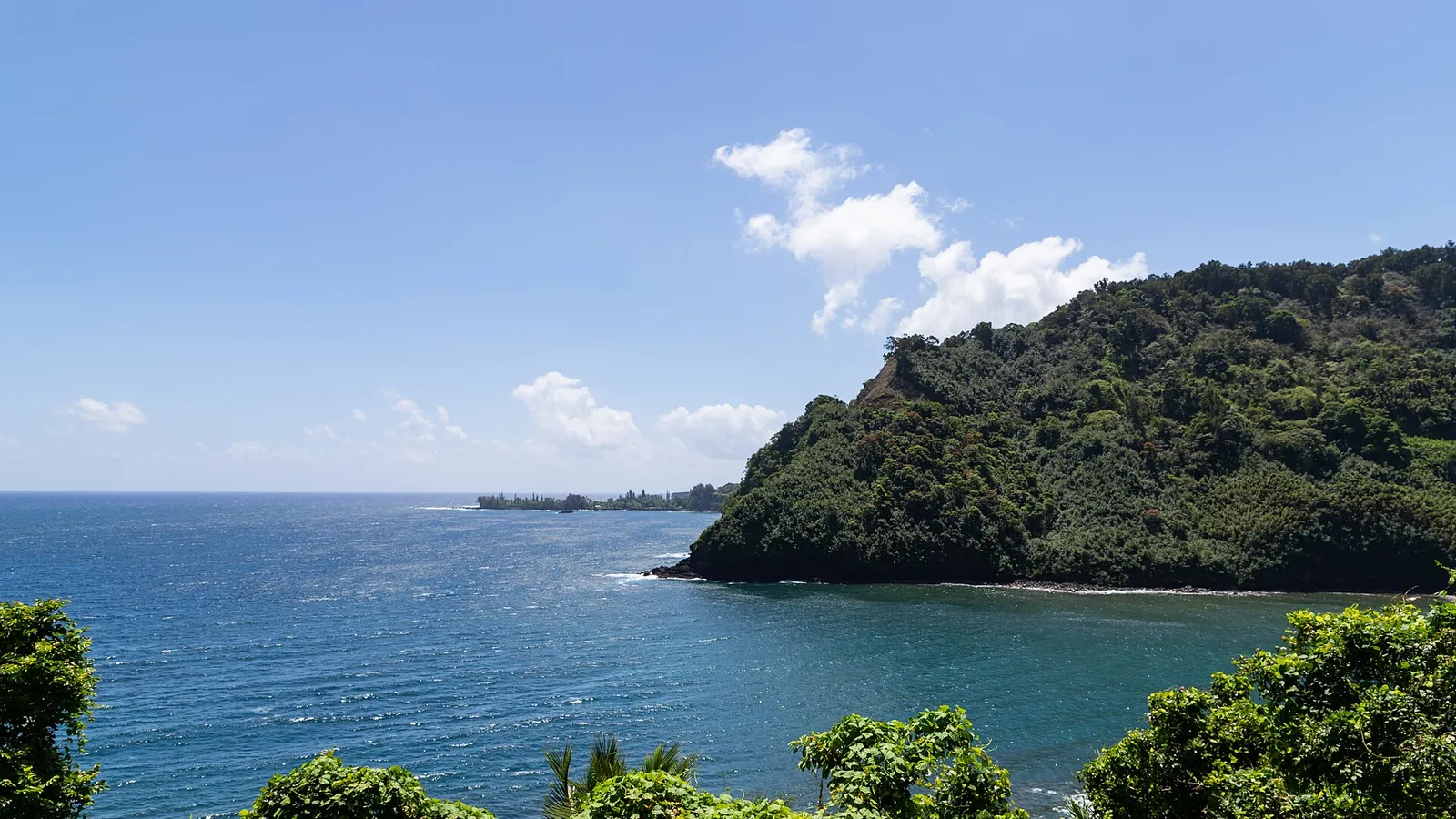The winding coastal road on Maui above black volcanic cliffs and green rainforest