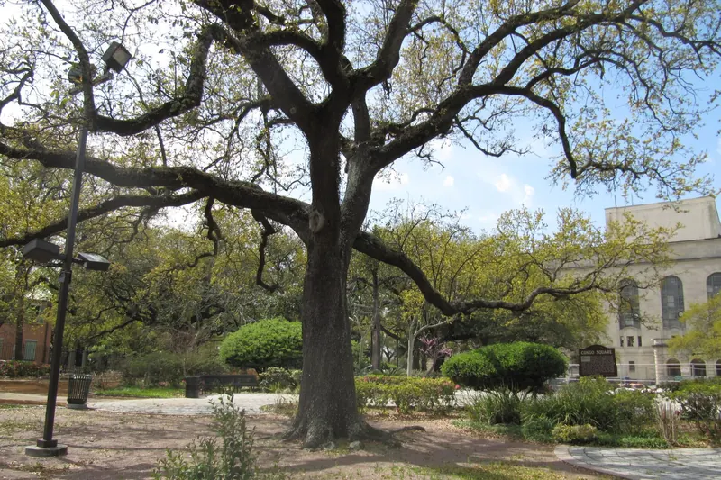 Congo Square in Tremé