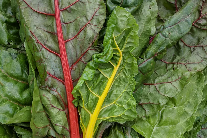 Produce at a California farmers market