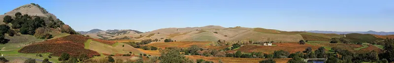 Vineyards in the Napa Valley