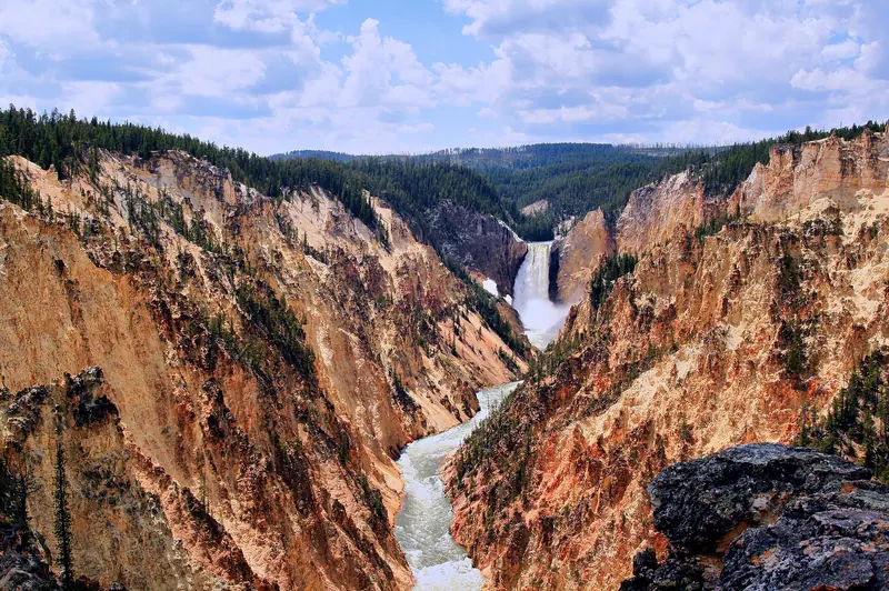 The Lower Falls in the yellow rhyolite canyon of the Yellowstone