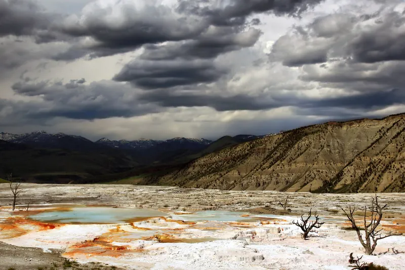 White travertine terraces at Mammoth Hot Springs