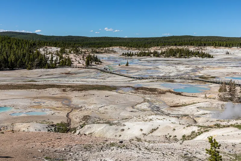 Steaming ground at the Norris Geyser Basin
