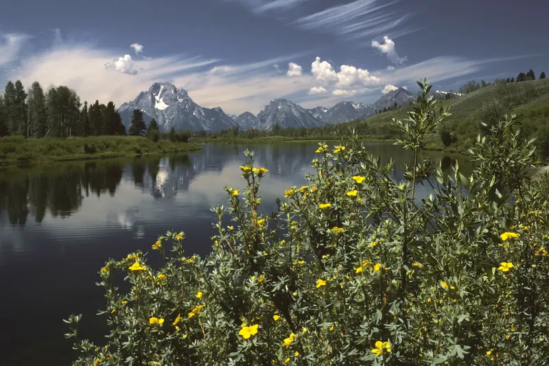 The Teton range above Oxbow Bend