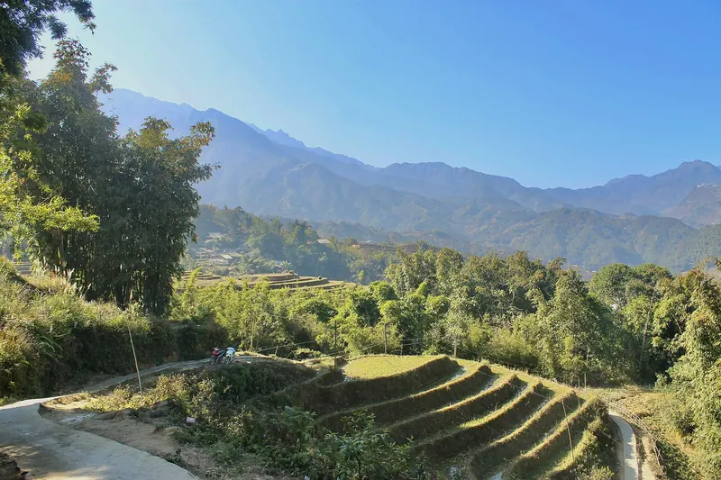 Terraced rice fields stepping down a mountainside in northern Vietnam