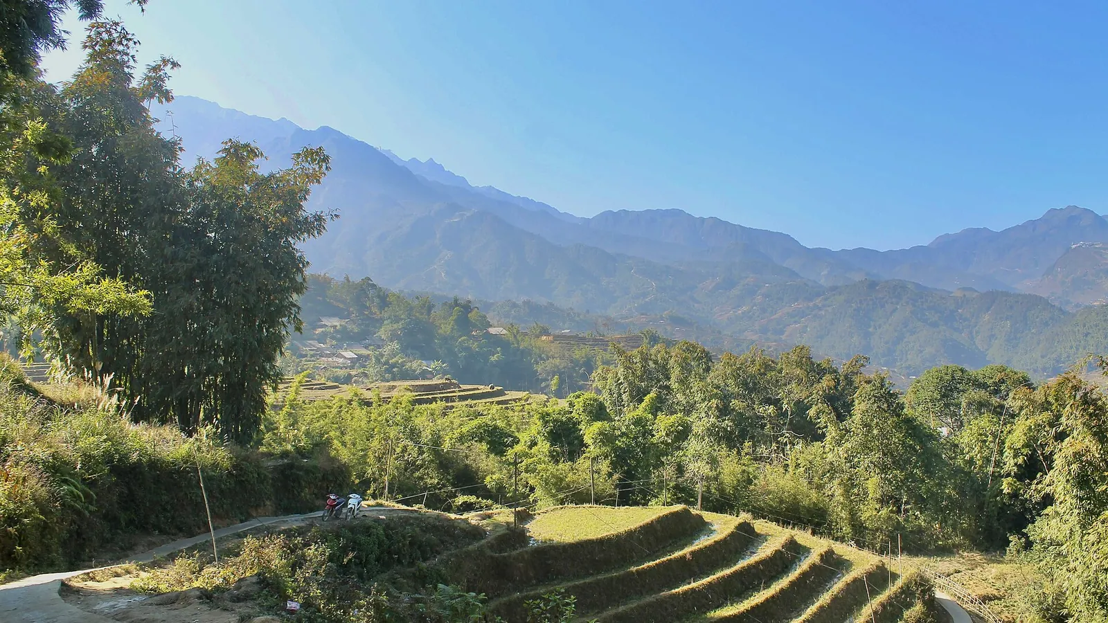 Terraced rice fields stepping down a mountainside in northern Vietnam