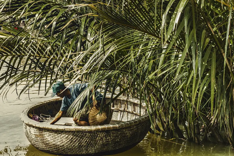 A round basket boat among the nipa palms at Cam Thanh near Hoi An