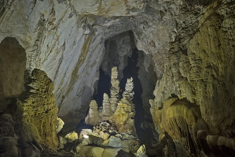 A giant chamber with jungle and light inside Son Doong Cave