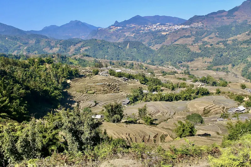 Terraced rice fields curving around a hillside in the mountains of Sapa