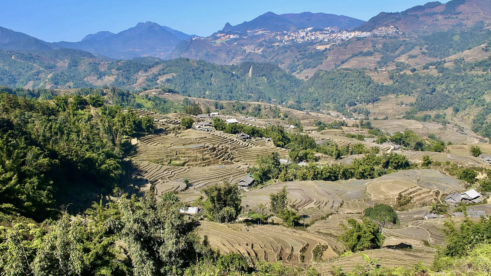 Terraced rice fields curving around a hillside in the mountains of Sapa